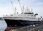 Задолженность рыбной отрасли по кредитам и займам превысила 1,1 трлн рублей Задолженность рыбной отрасли по кредитам и займам превысила 1,1 трлн рублей